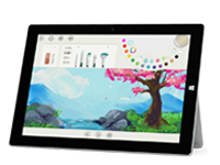 渭源Surface 无法开启、Windows 无法启动或电池无法充电